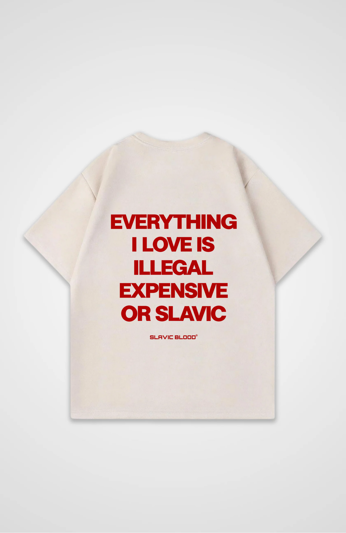 Everything i love is illegal or Slavic Oversized Shirt