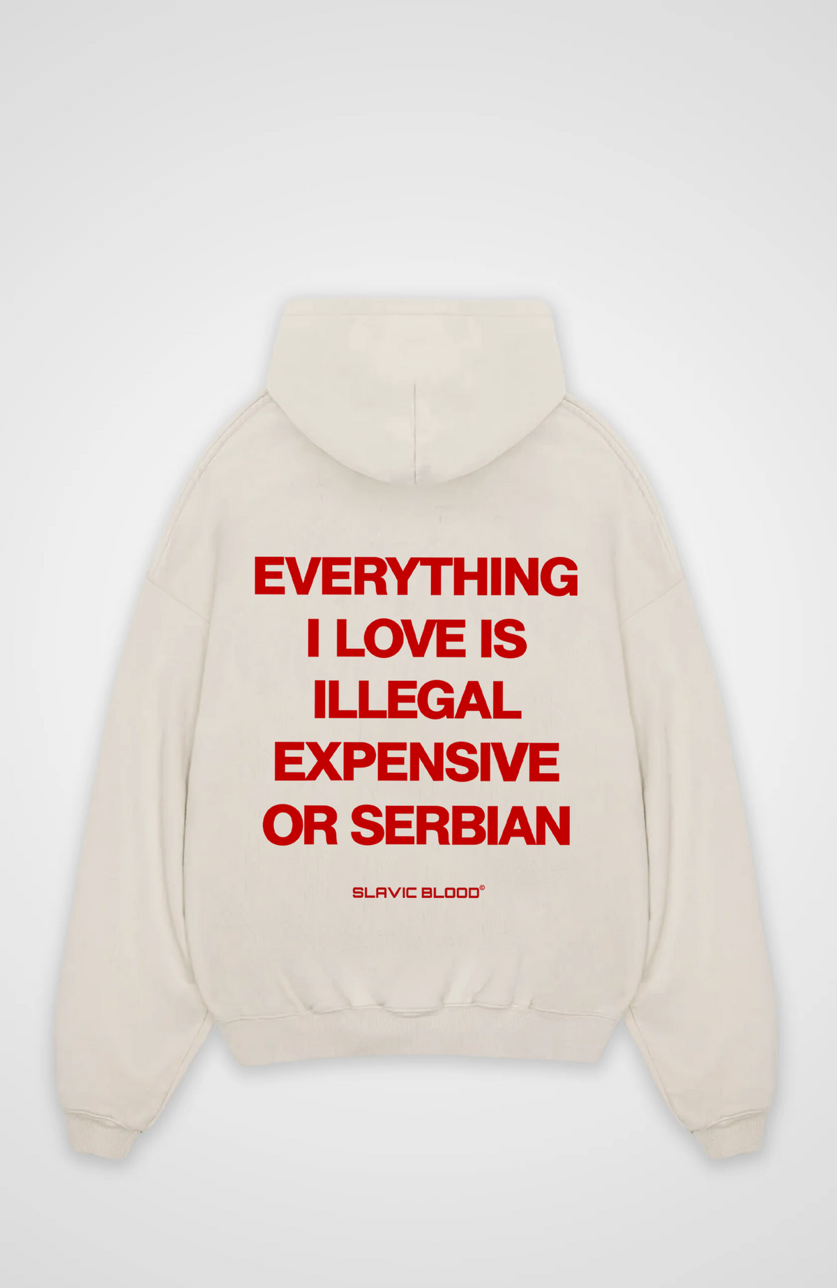 Everything i love is Serbian Oversized hoodie