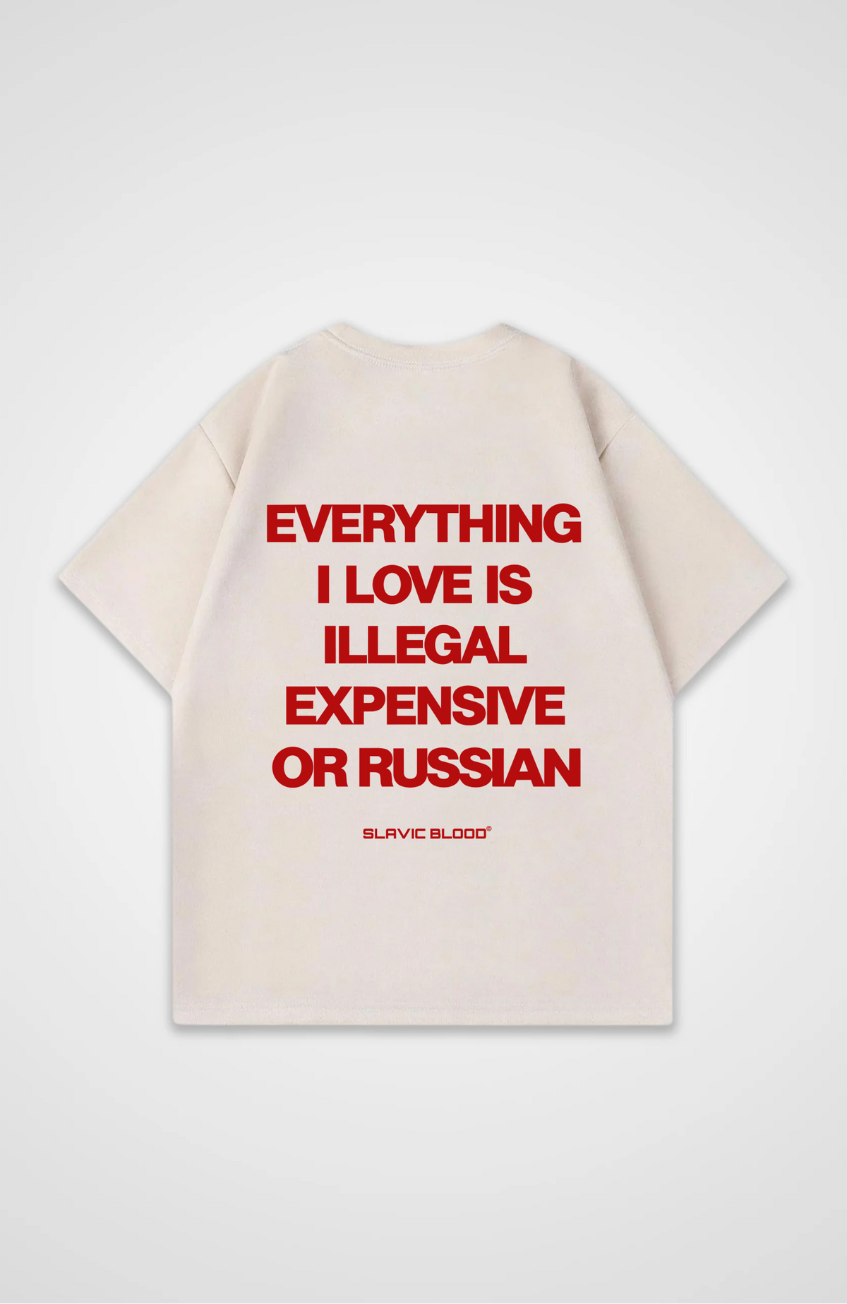 Everything i love is illegal or Russian Oversized Shirt