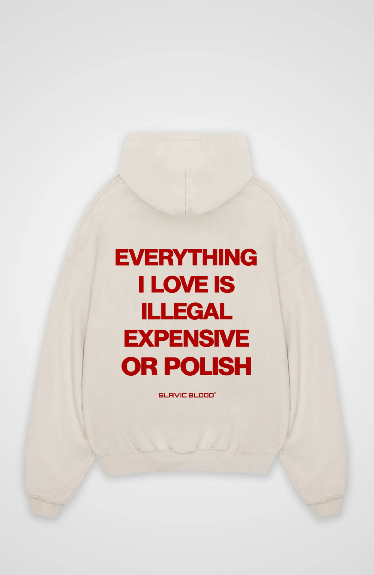 Everything i love is Polish Oversized hoodie