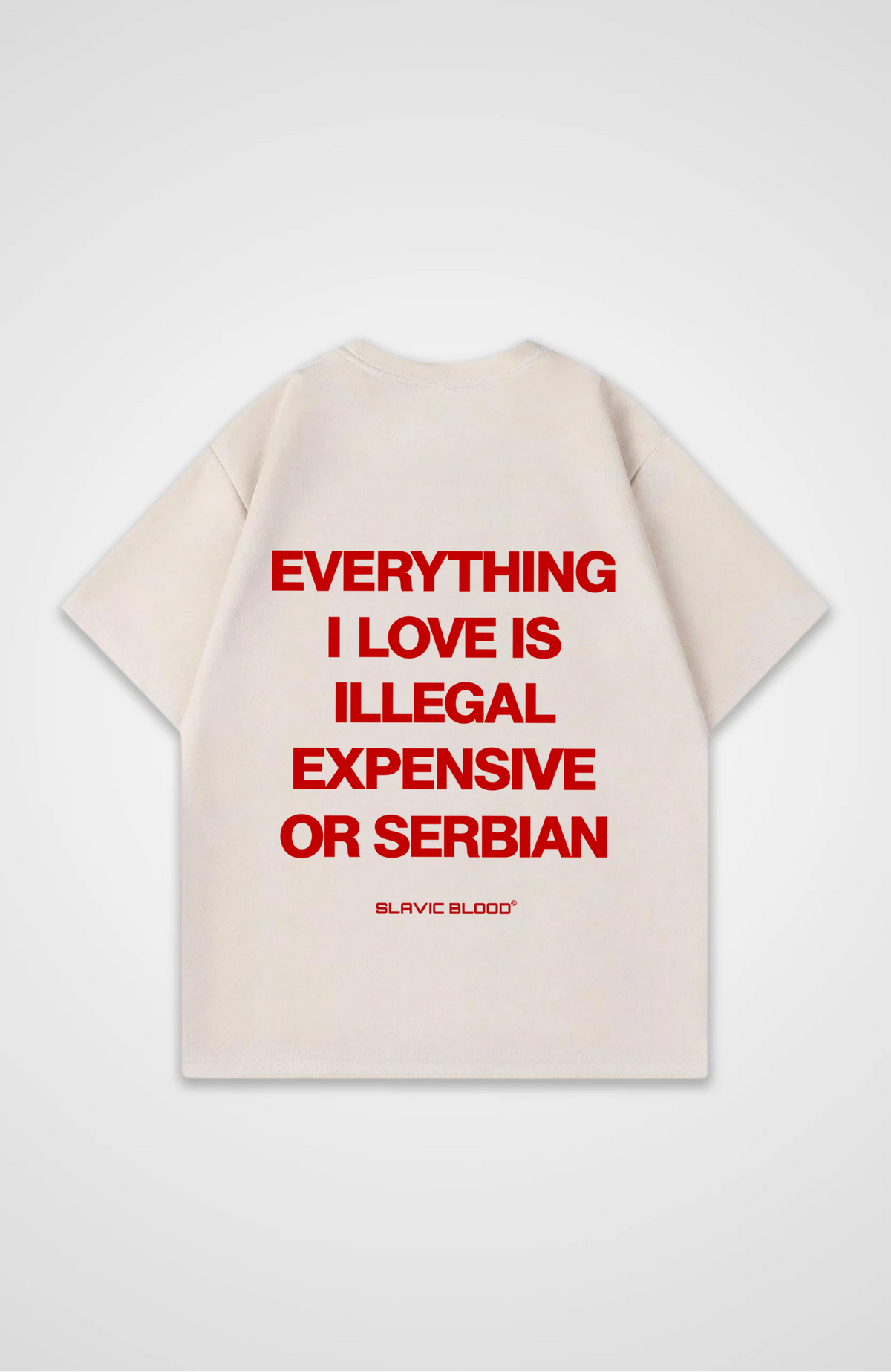 Everything i love is Serbian Oversized shirt