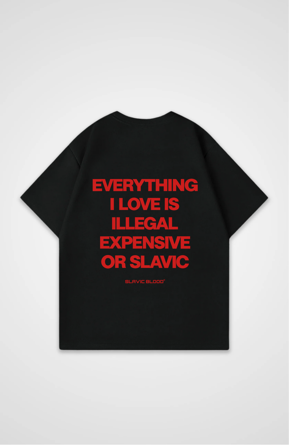 Everything i love is illegal or Slavic Oversized Shirt