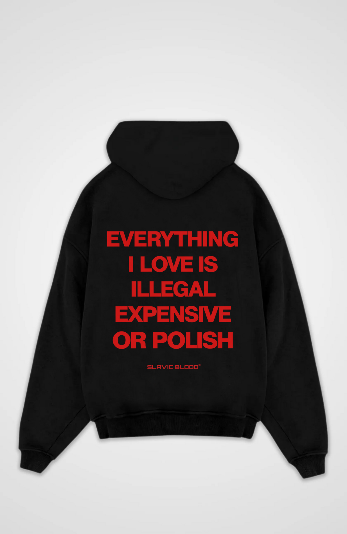 Everything i love is Polish Oversized hoodie