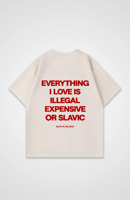Everything i love is illegal or Slavic Oversized Shirt