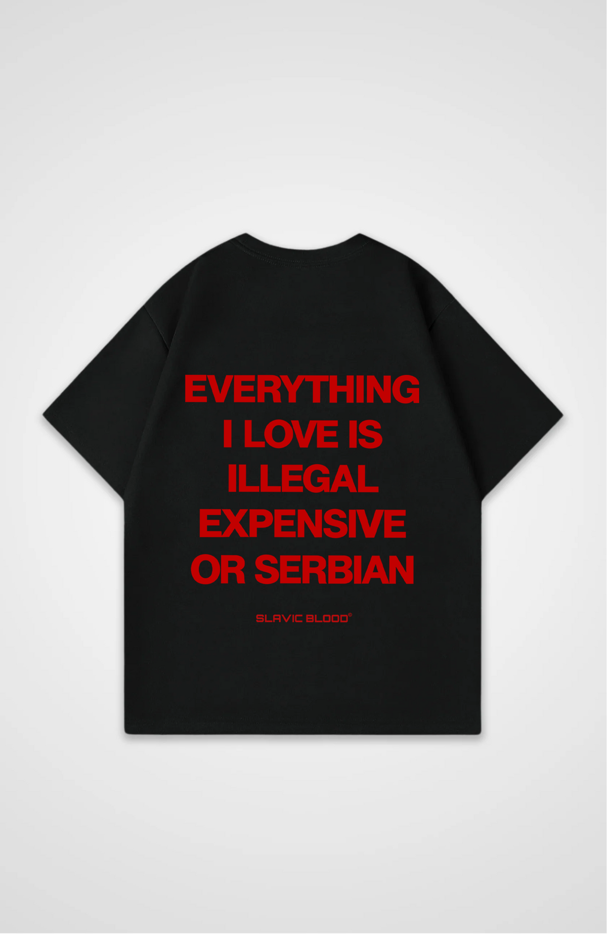Everything i love is Serbian Oversized shirt