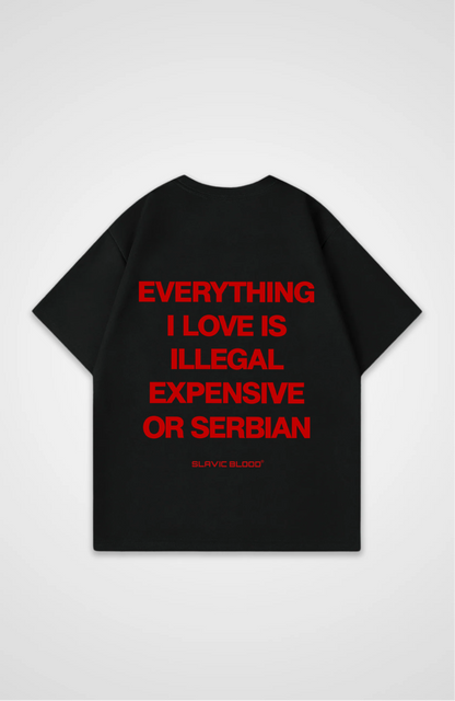 Everything i love is Serbian Oversized shirt