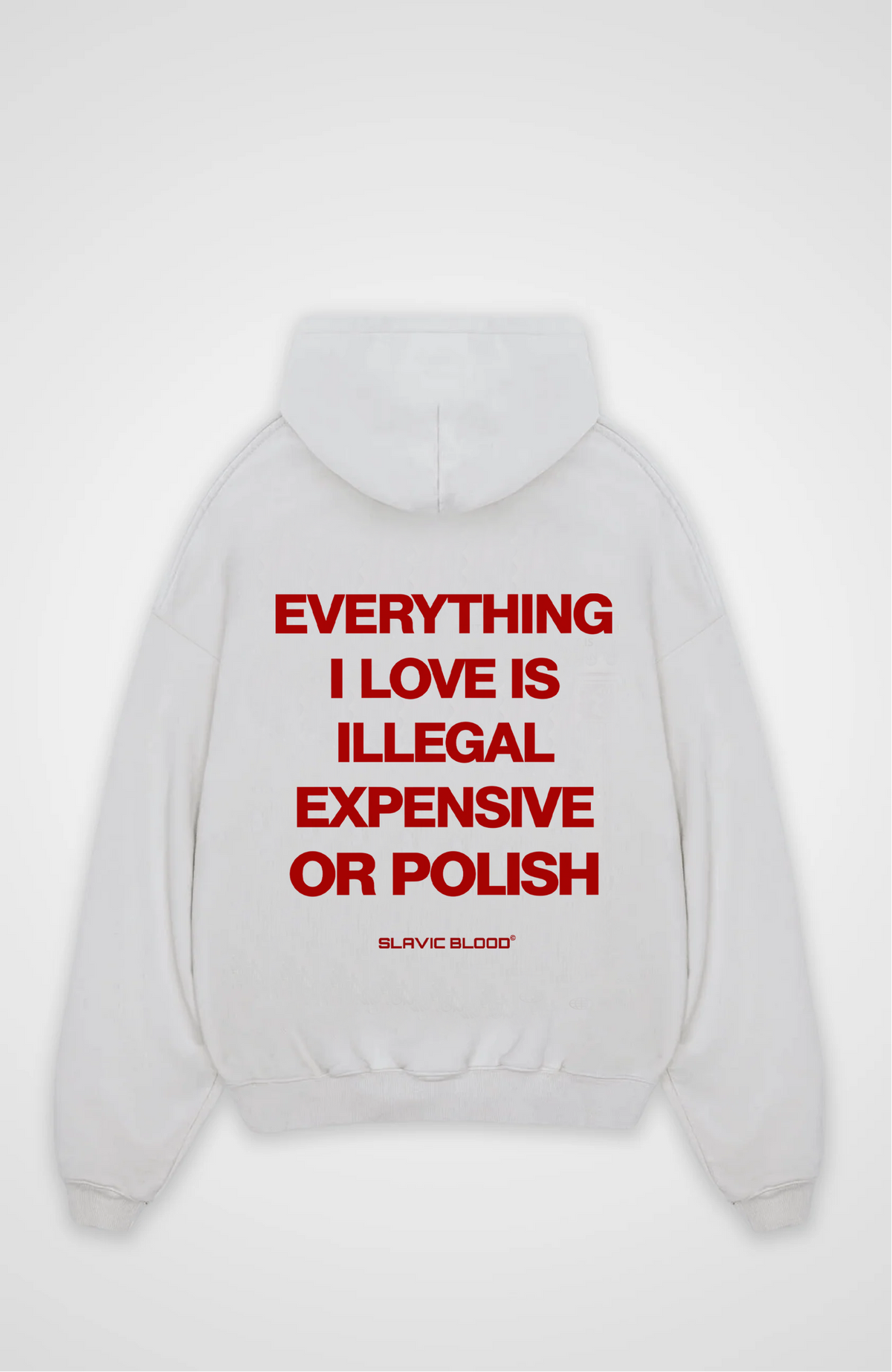 Everything i love is Polish Oversized hoodie