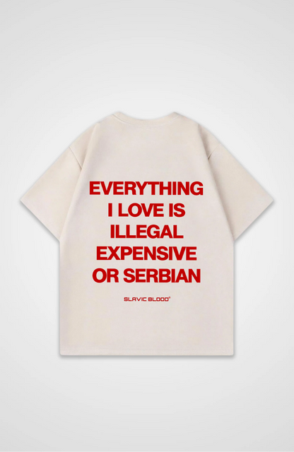 Everything i love is Serbian Oversized shirt