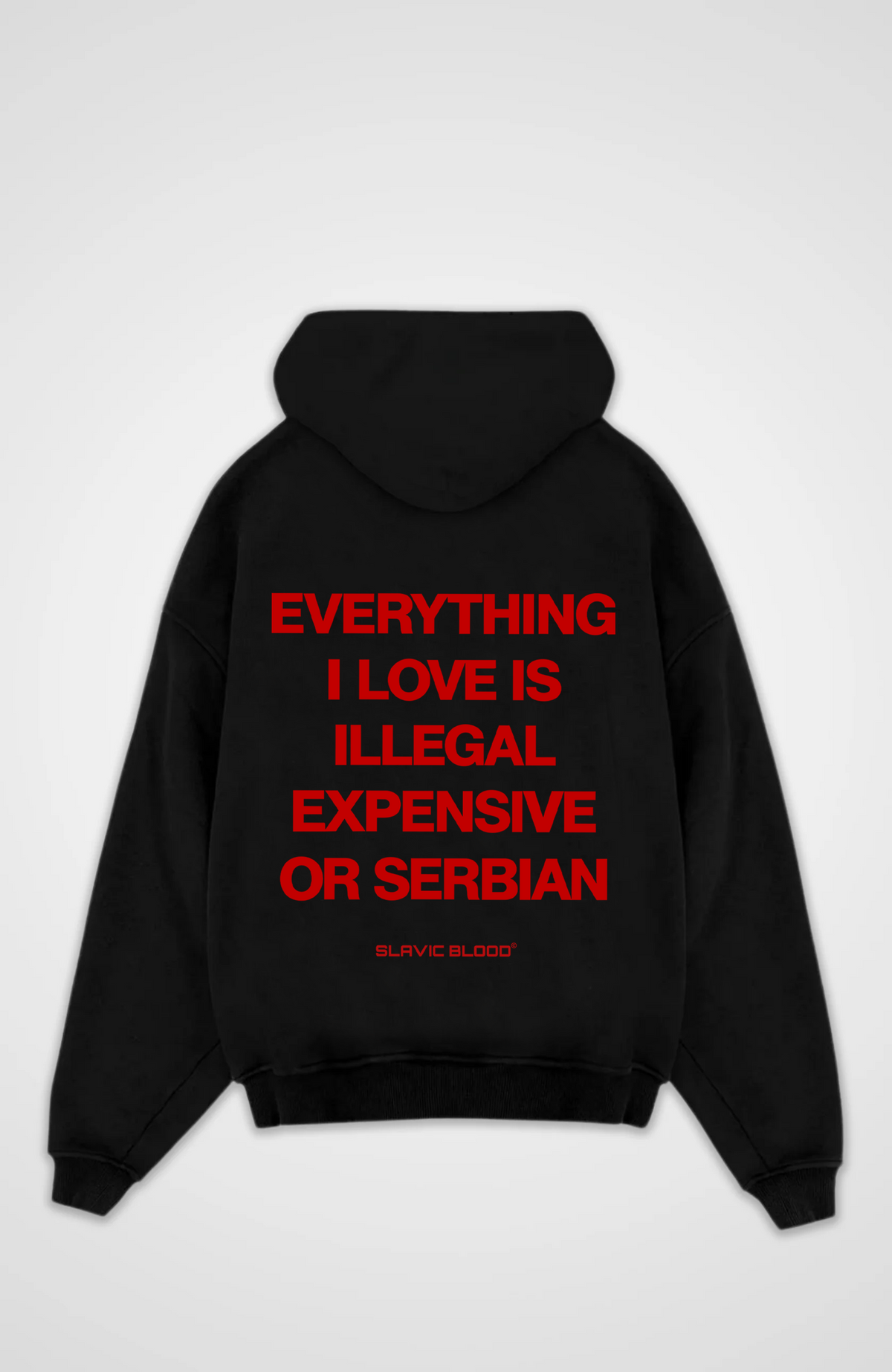 Everything i love is Serbian Oversized hoodie