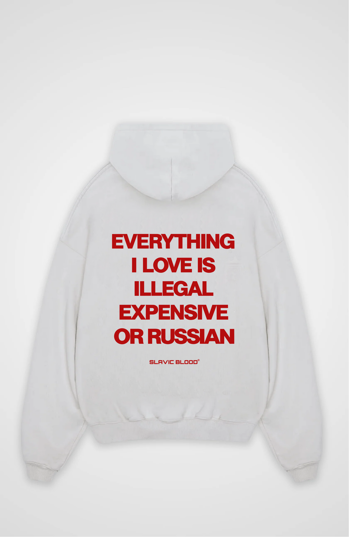 Everything i love is illegal or Russian Oversized hoodie