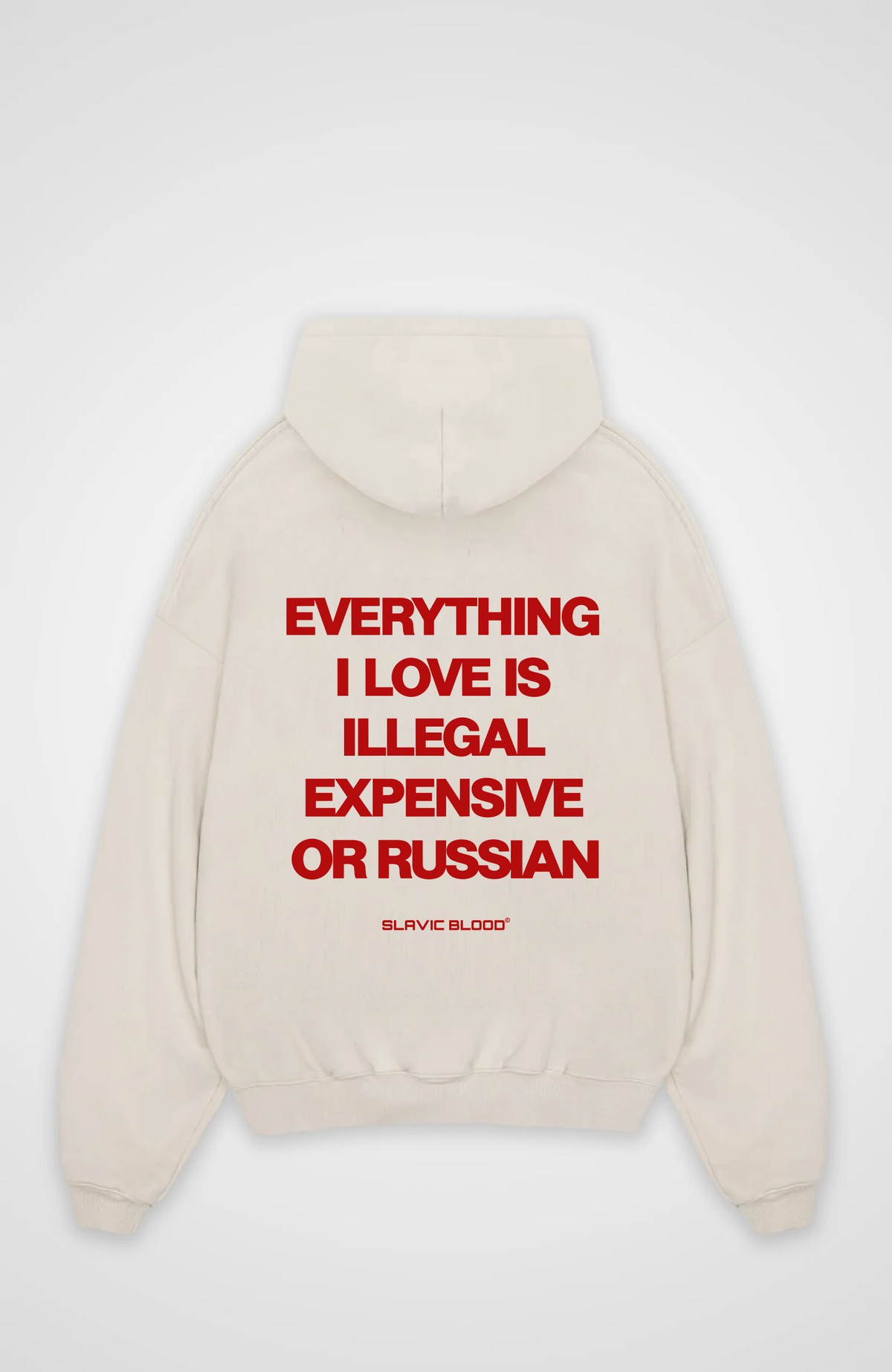 Everything i love is illegal or Russian Oversized hoodie