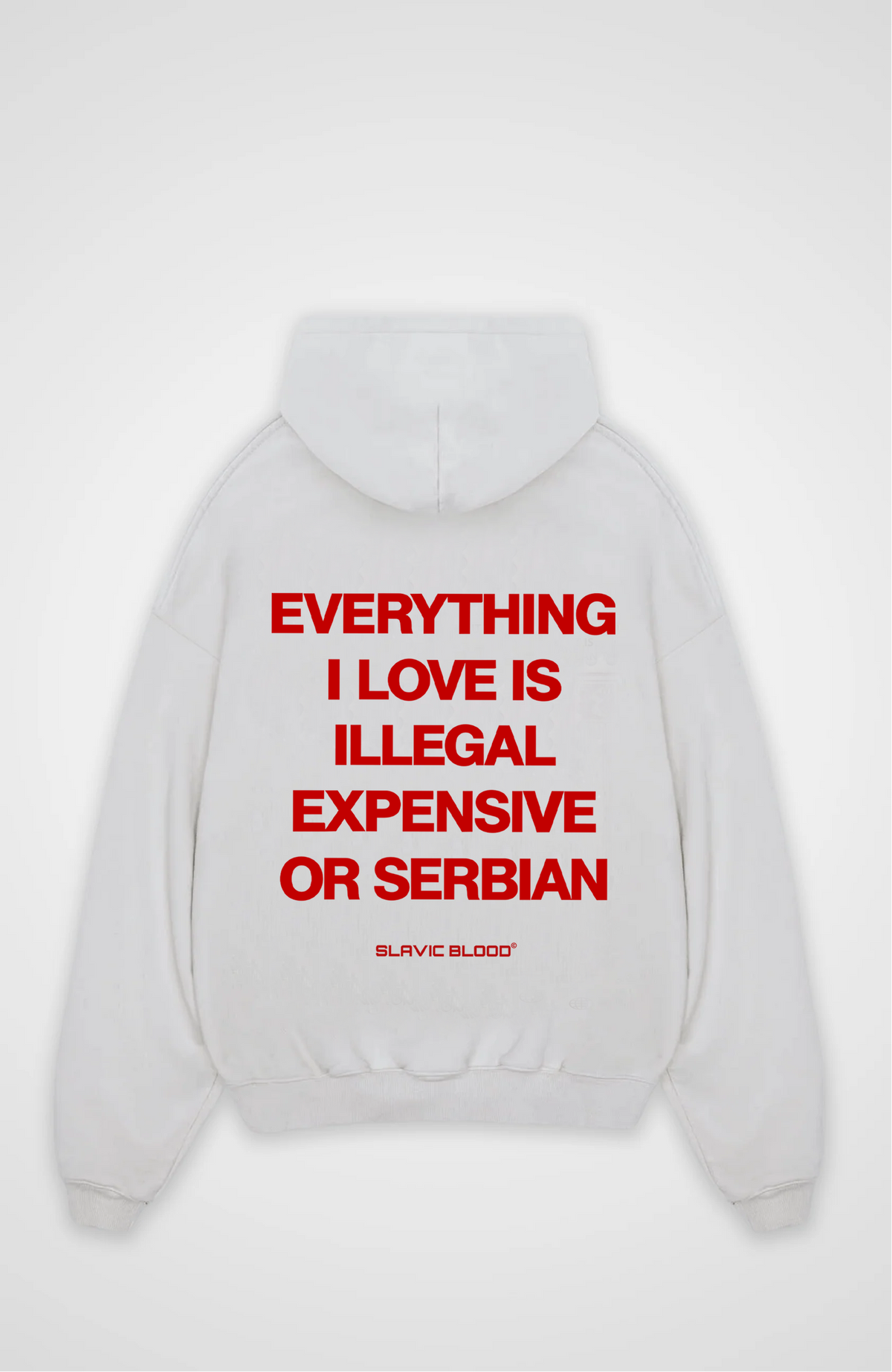 Everything i love is Serbian Oversized hoodie