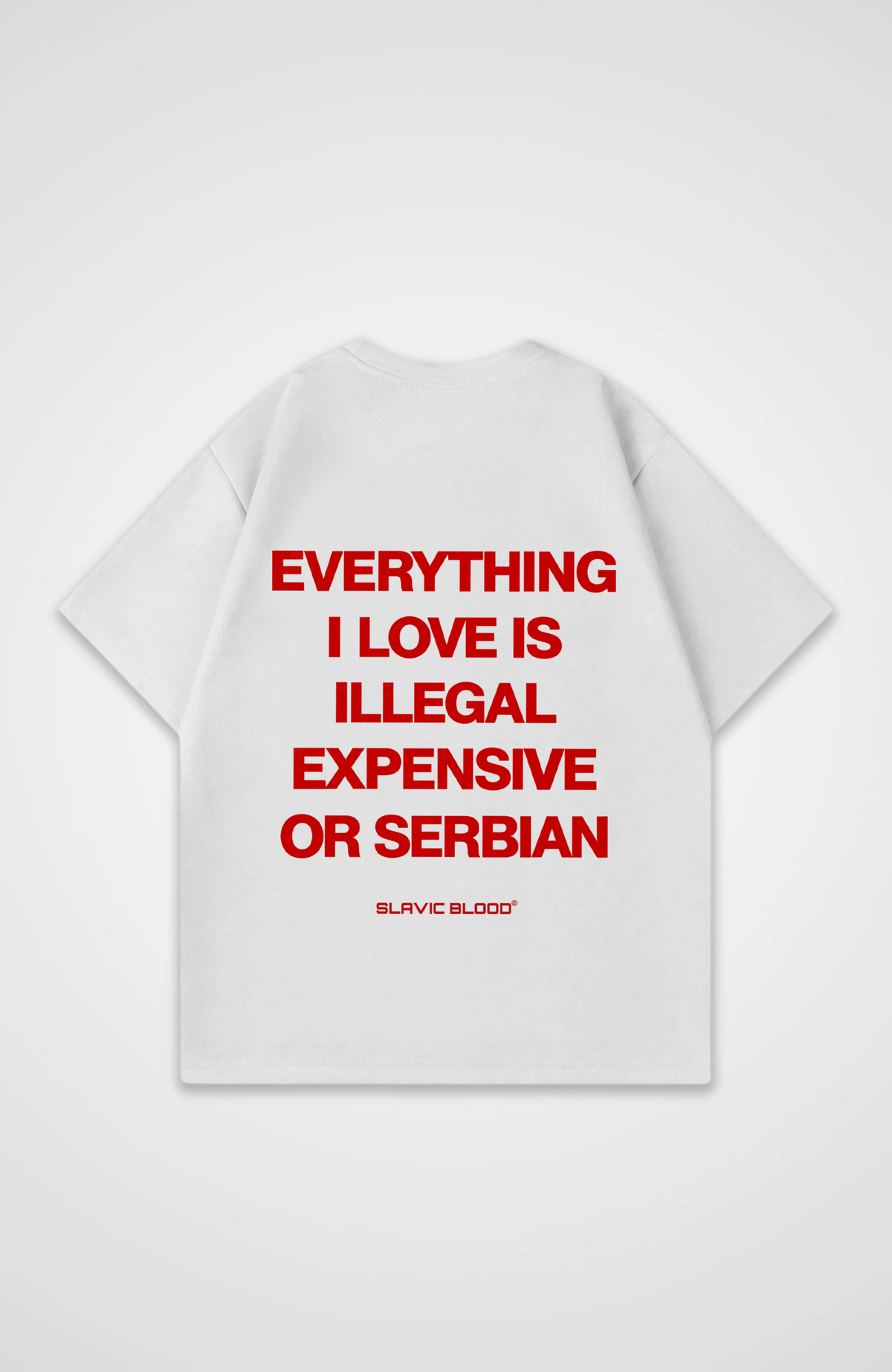 Everything i love is Serbian Oversized shirt