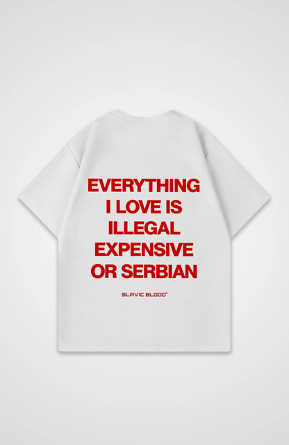 Everything i love is Serbian Oversized shirt